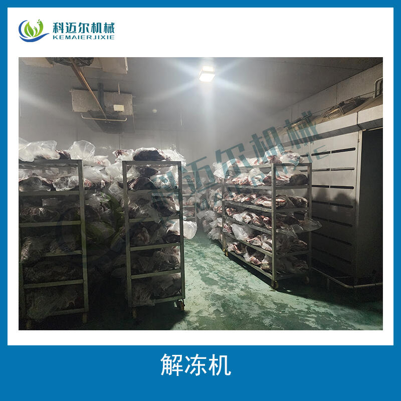 不銹鋼肉類加工低溫高濕解凍機(jī)