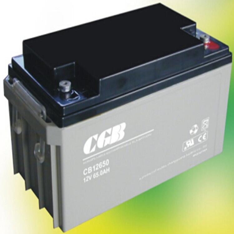 CTD蓄電池6GFM1712V17AH閥控密封蓄電池