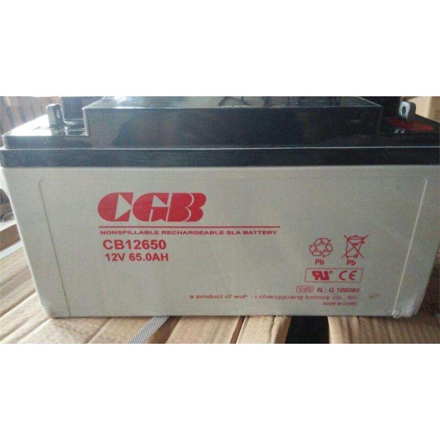 CGB長(zhǎng)光CB12900蓄電池機(jī)房電柜