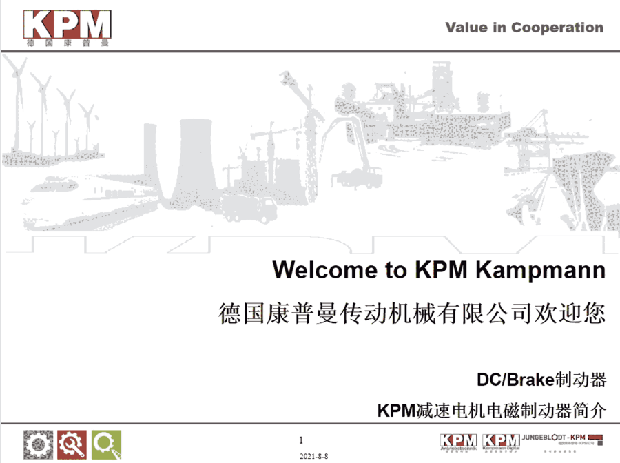 KPMBGM112X050AD11V205