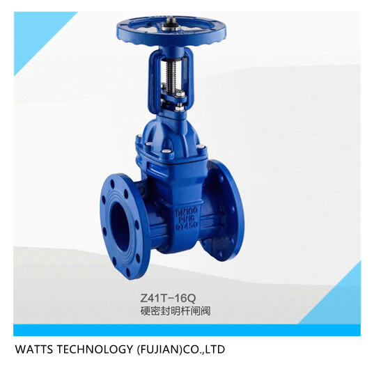 外資沃茨閥門DN100-1.6MPA硬密封明桿閘閥