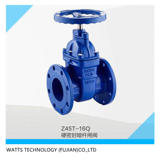 外資沃茨閥門DN100硬密封暗桿閘閥