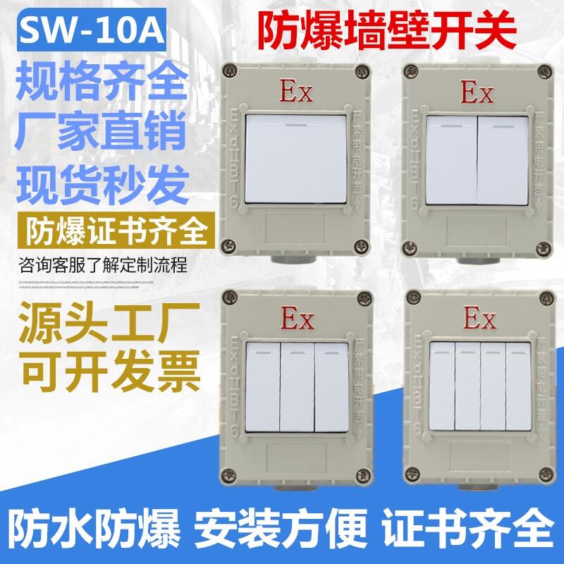 新款防爆墻壁開關(guān)明裝暗裝SW-10A單極雙聯(lián)三開四聯(lián)防爆開關(guān)220V