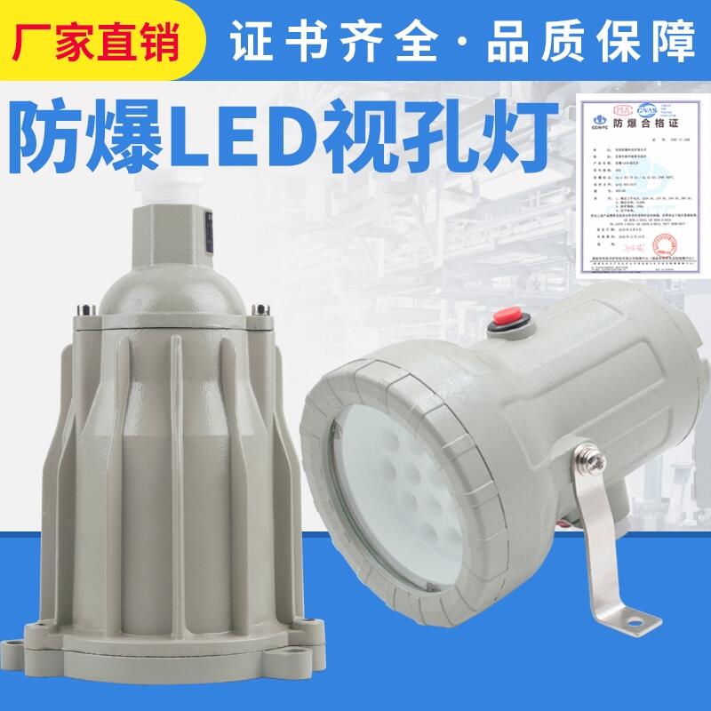 防爆視孔燈BSD96化學容器LED視孔燈12V24V36V220V反應釜視鏡燈