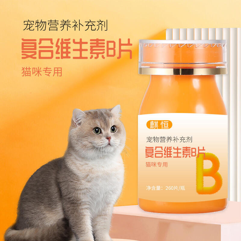 復(fù)合維生素B片寵物營養(yǎng)補充劑