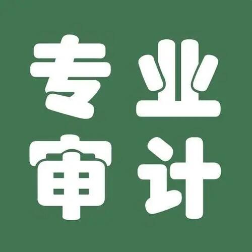 鄭州公司出審計(jì)報告,鄭州二維碼審計(jì)報告