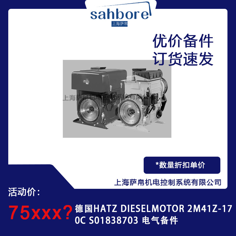 德國HATZ DIESELMOTOR2M41Z-170CS01838703電氣備件議