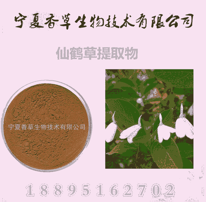 仙鶴草粉出廠(chǎng)價(jià) 仙鶴草超微粉300目 仙鶴草提取液 流浸膏