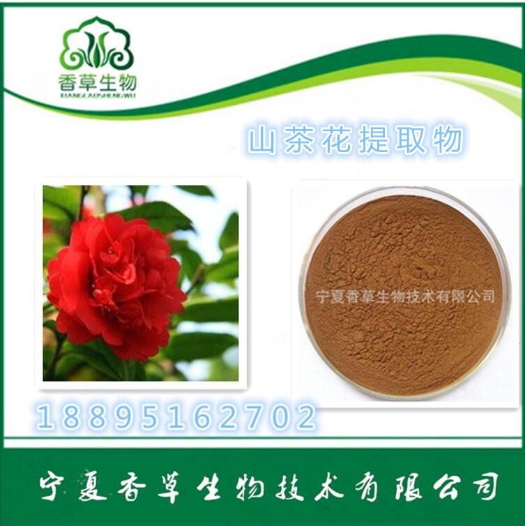 山茶花提取物 20:1目數(shù)80-100 山茶花皂甙 山茶花濃縮粉