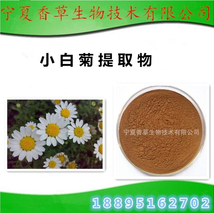 小白菊提取物 鈕扣菊水溶粉 解熱菊濃縮浸膏批發(fā) 小白菊粉