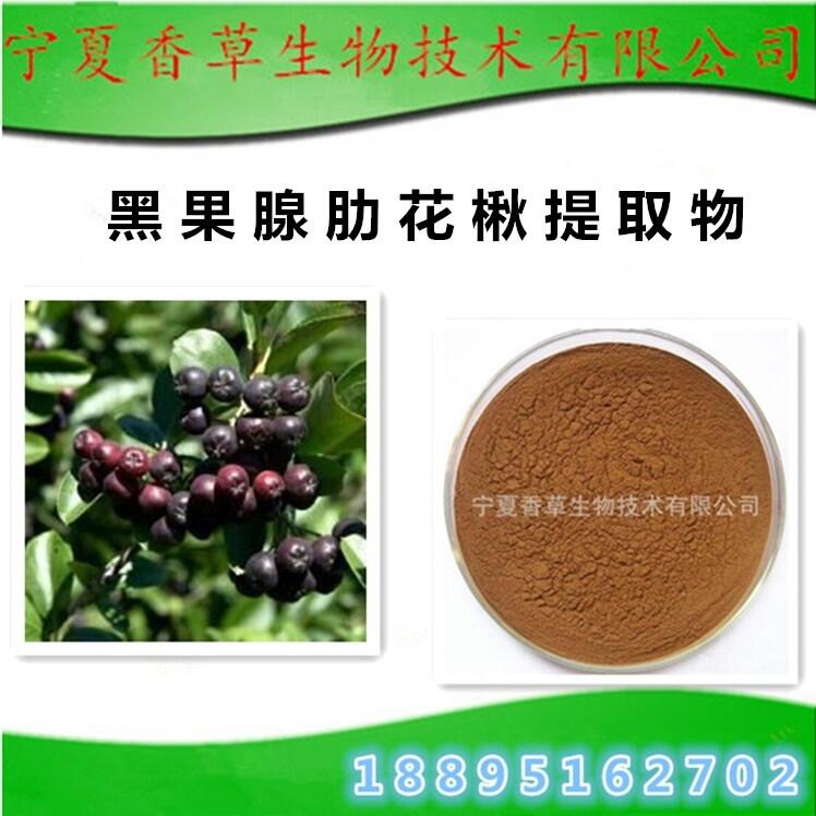 黑果腺肋花楸提取物 花青素10%  黑果腺肋花楸果粉 凍干粉 速溶粉