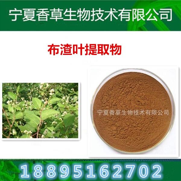 布渣葉提取物  寧夏蓑衣子萃取原料 量大優(yōu)惠  破布葉水溶性粉