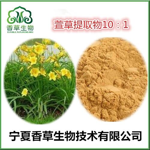 黃花菜萱草葉粉哪里有 黃花菜葉堿 金針菜萱草粉價格 黃花菜葉多糖 萱草濃縮浸膏