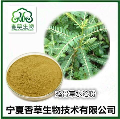 雞骨草提取物25:1 黃頭草粉 大黃草水溶粉 豬腰草濃縮浸膏批發(fā)