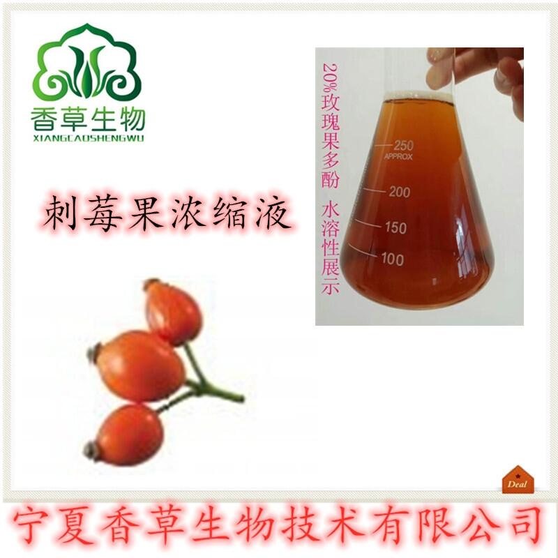 薔薇果萃取液生產(chǎn) 刺玫瑰果浸膏批發(fā)價(jià)