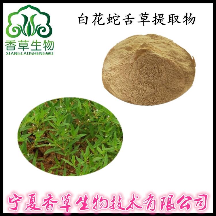 白花蛇舌草提取物 產(chǎn)地貨源 白花蛇舌草粉 萃取車前草甙 蛇針草速溶粉