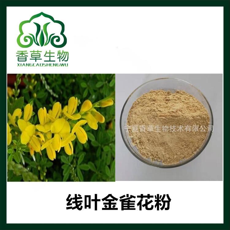 線葉金雀花粉批發(fā)價 南非茶提取物 速溶粉水溶型 線葉金雀花濃縮粉