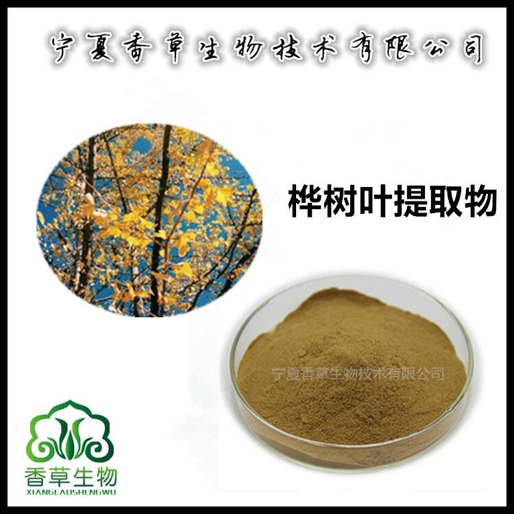 樺樹葉提取物水提 樺樹葉25% 樺樹葉粉價格 速溶粉水溶型