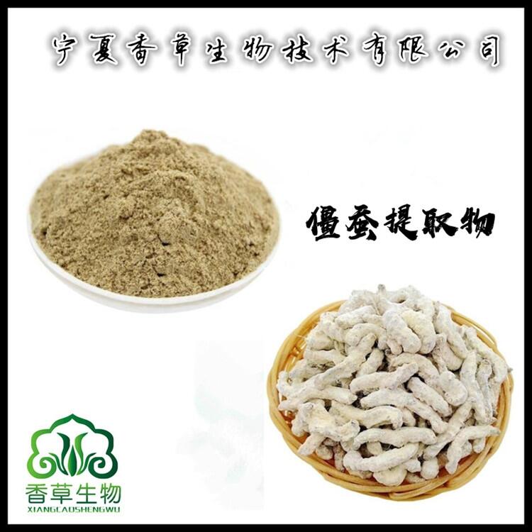 僵蠶提取物供應(yīng) 僵蠶粉批發(fā) 僵蟲(chóng)提取物 白僵蠶濃縮粉