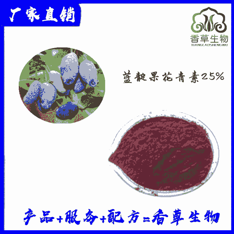 藍(lán)靛果花青素25% 藍(lán)靛果花色苷 藍(lán)靛果提取物 濃縮汁粉