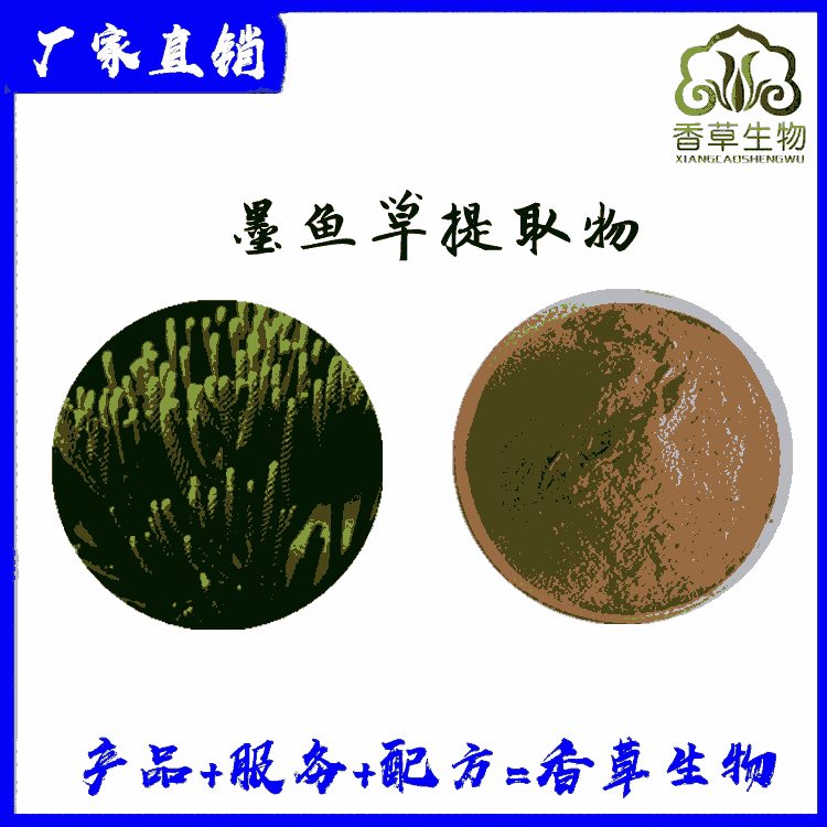 墨魚草提取物供應(yīng) 墨魚草粉 濃縮粉 墨魚草浸膏粉