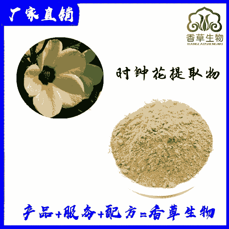 時鐘花提取物10:1 時鐘花粉 時鐘花速溶粉水溶 西番蓮花提取物