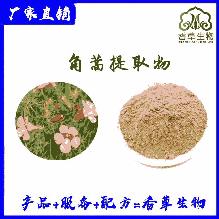 角蒿提取物供應(yīng) 角蒿粉80目 濃縮角蒿粉 角蒿速溶粉水溶