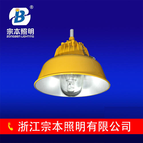 BPC8700防爆平臺燈，鐵路、電廠照明，BPC8700