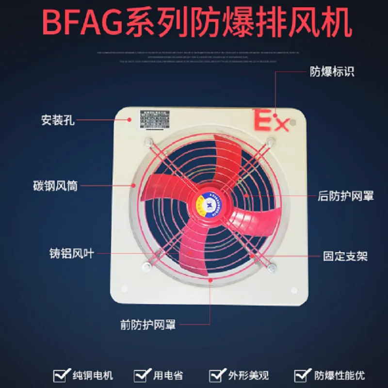 BFAG-300 EX DII BT4 GB AC220V 0.12KW ~ L