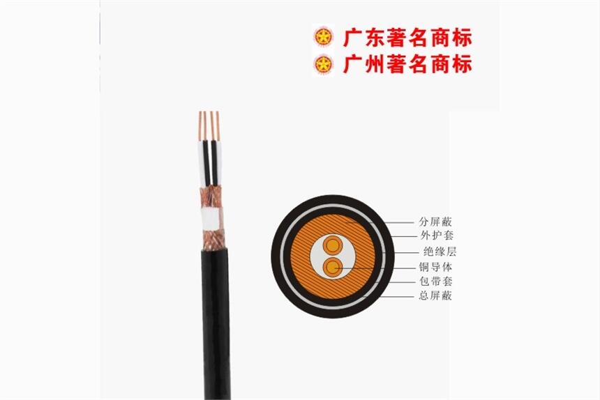 珠江花環(huán)_DJYPVP計(jì)算機(jī)電纜_電力電纜廠家