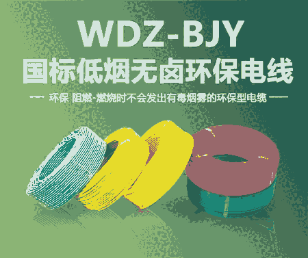 東佳信WDZ-BYJ10平方無(wú)鹵絕緣電線