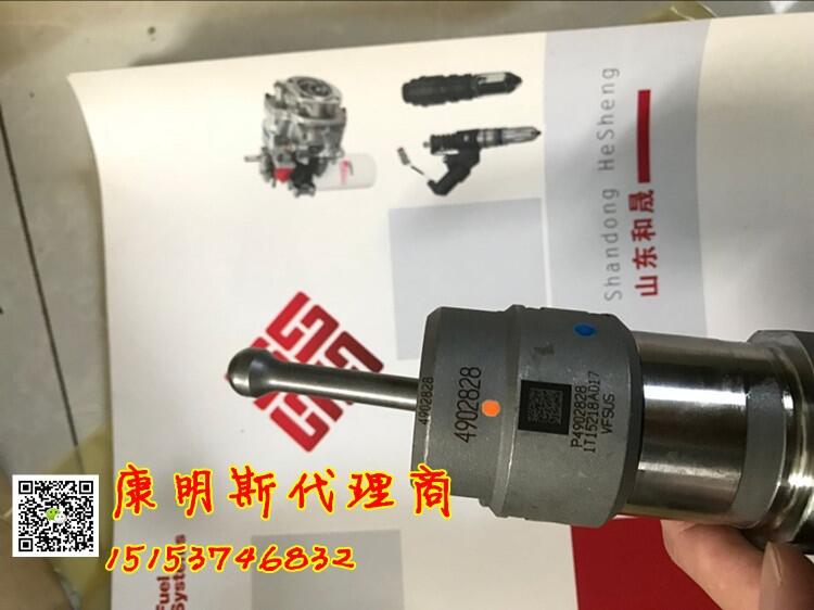 QSK23（日立1200）噴油器4902827康明斯礦機配