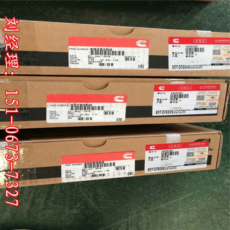 TR50礦汽車油槍4928260 特雷克斯內(nèi)蒙服務(wù)商