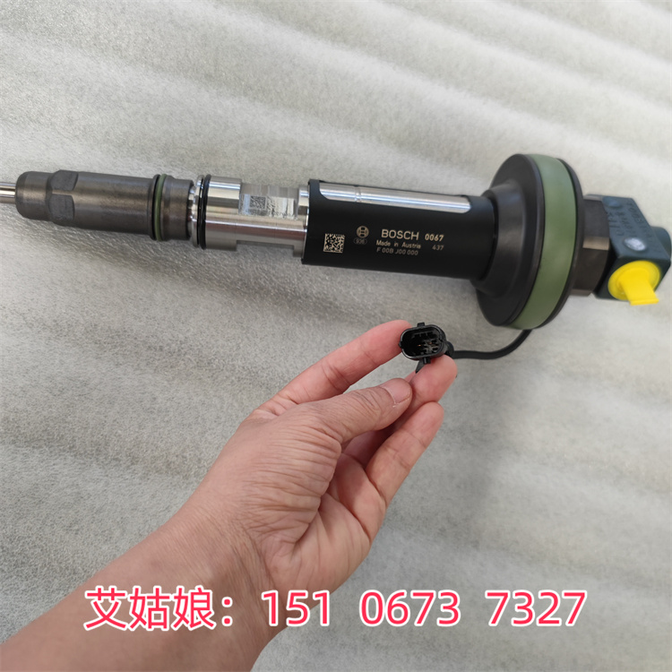 奧地利F00BL0J018噴油器F00BJ00003 適配康明斯柴油機