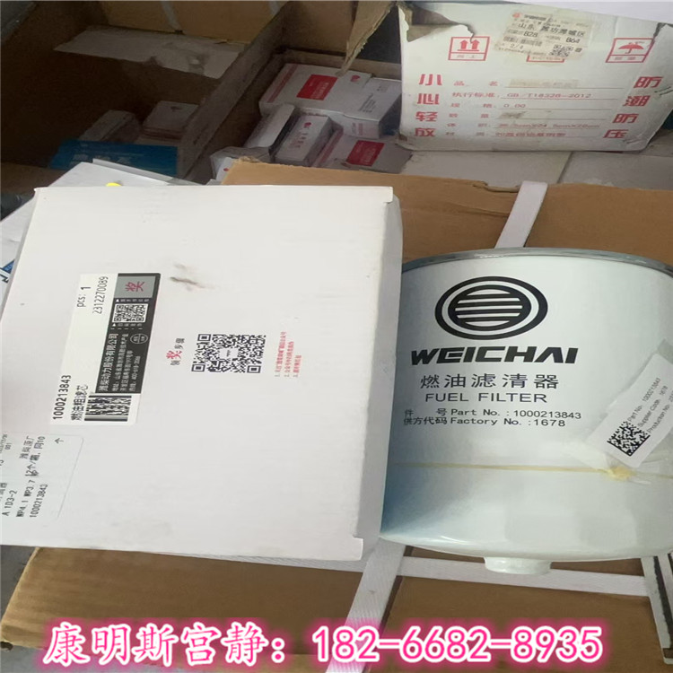 工程機械設備濰柴燃油濾清器1000213843