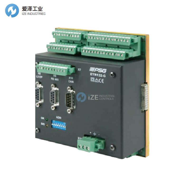 PSG溫度控制器RR1010/8/K/HO/KO/TCPT/-/-/DP/24V