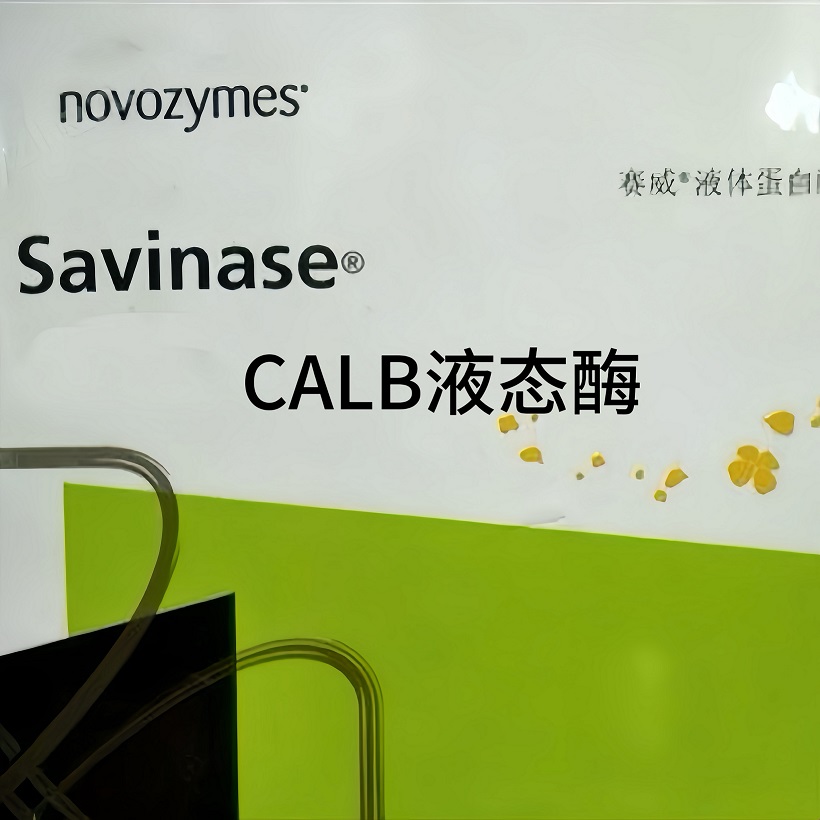 ZS Novozyme Lipozyme CALB L ֬ø