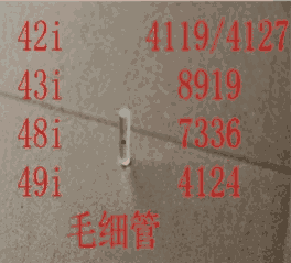 美國熱電賽默飛43i毛細(xì)管