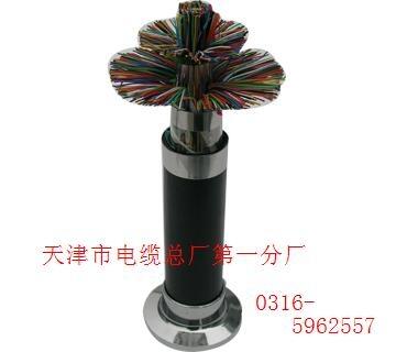 煤礦通信電纜   MHYSV        10*2*0.6