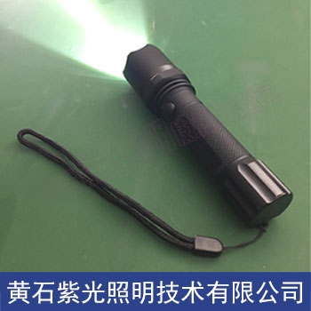 紫光YJ1013微型強光巡檢電筒廠家 YJ1013手電筒