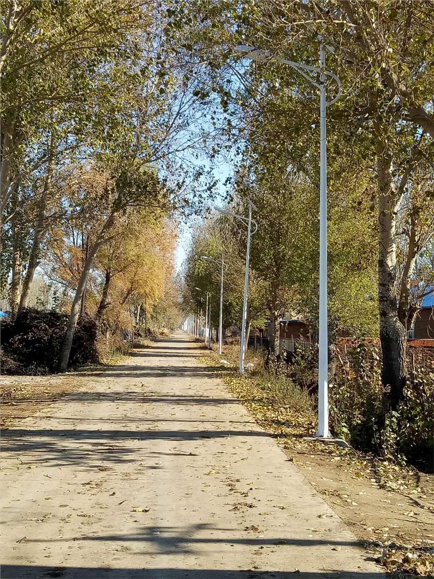 哈爾濱太陽能路燈廠家，扶貧項(xiàng)目太陽能路燈