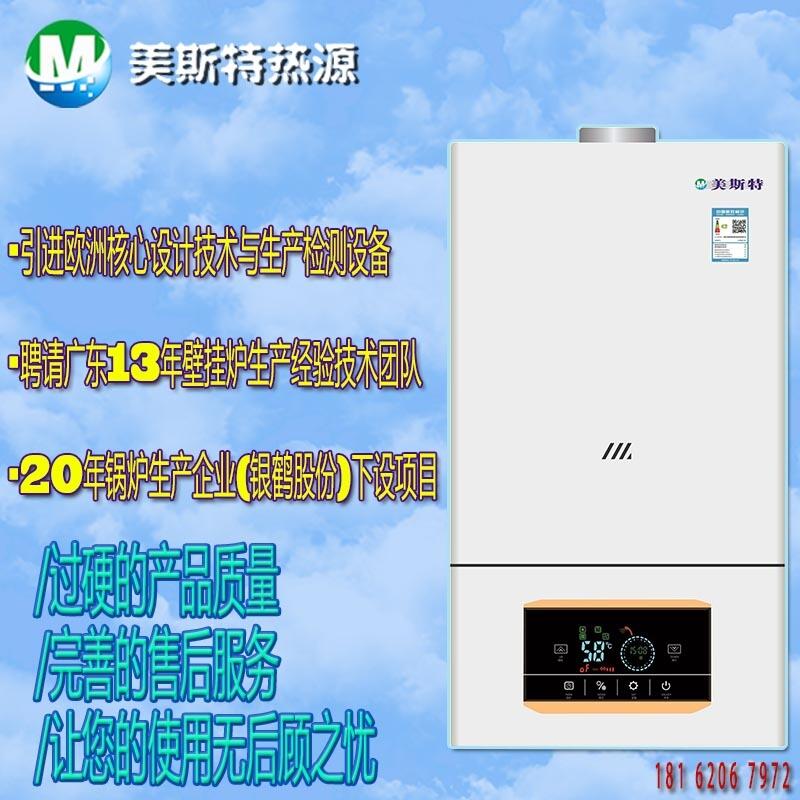 20kw燃氣采暖熱水爐家庭取暖洗浴兩用鍋爐美斯特廠家直銷