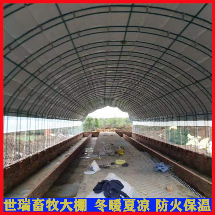 羊棚施工搭建 保溫羊舍大棚安裝 山羊養(yǎng)殖棚建造