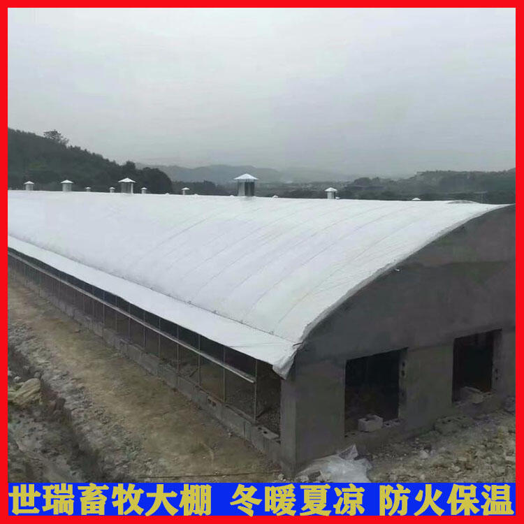 養(yǎng)雞大棚建設規(guī)劃 肉雞保溫大棚安裝 雞棚施工廠家