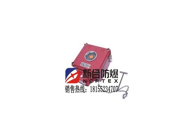 可燃性氣體專(zhuān)用新合防爆（消防）控制按鈕