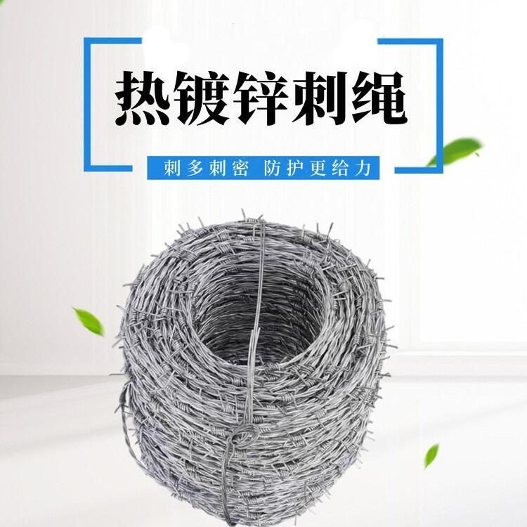 廣東現(xiàn)貨刺鐵絲廠家供應(yīng)廣州帶刺防盜護(hù)欄深圳防盜帶刺鐵絲網(wǎng)