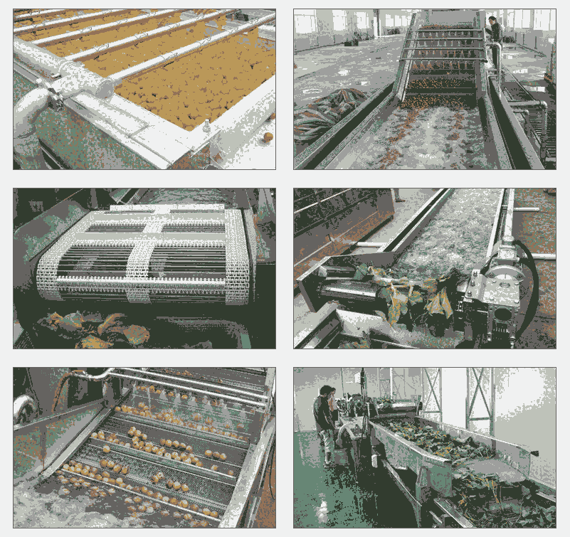 果蔬清洗流水線全套設備及使用說明  果蔬加工設備生產廠家