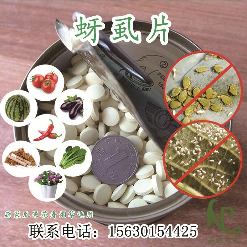 1000片/瓶番茄用一棵用一片?？寡料x(chóng)