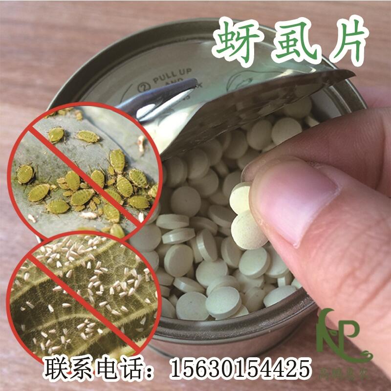 2000片/瓶防治豆角薊馬一棵一片批發(fā)價格