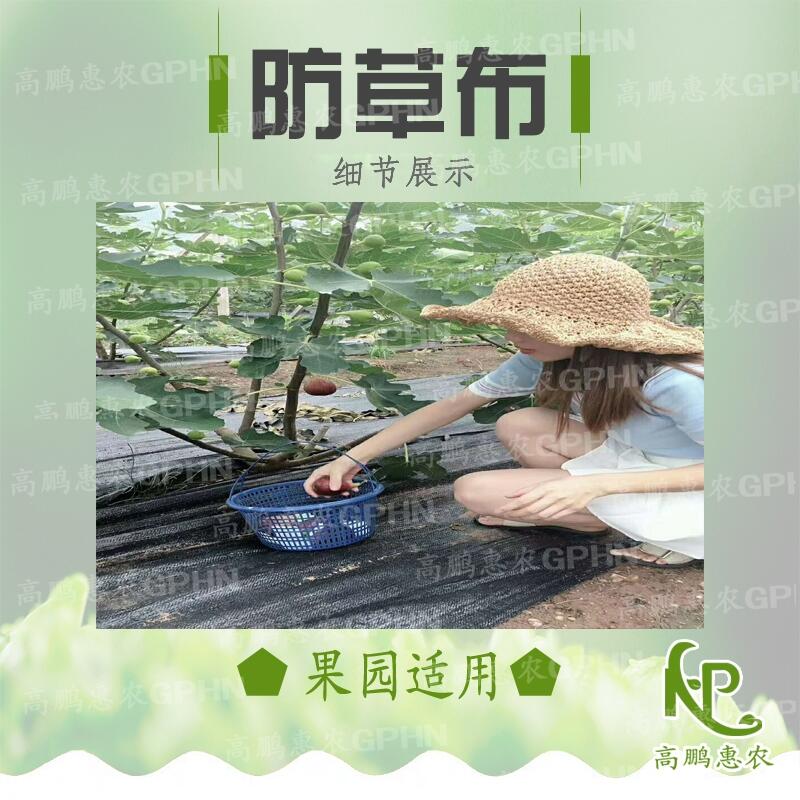 茶園防草地布多少錢一平